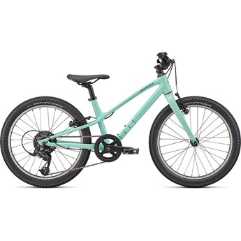 Specialized Jett 20 Gloss Oasis/Forest Green