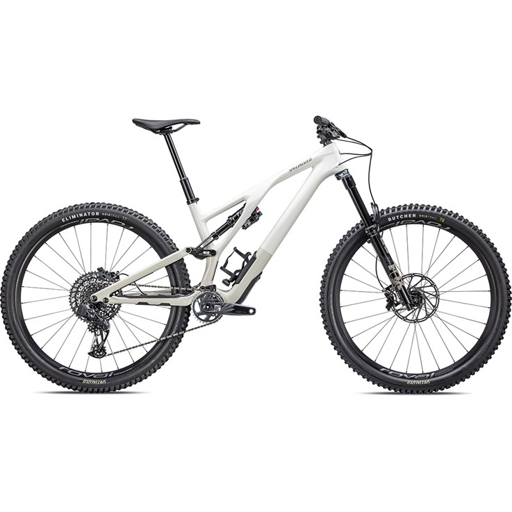 Specialized Stumpjumper Evo Expert Gloss Birch/Taupe